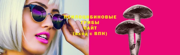 прущие крисы Беломорск