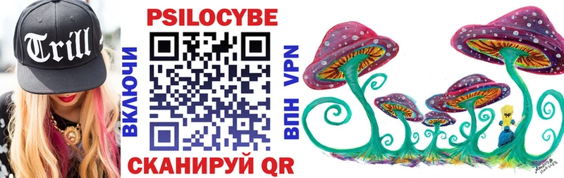 купить наркотики цена Пестово Галлюциногенные грибы Magic Shrooms